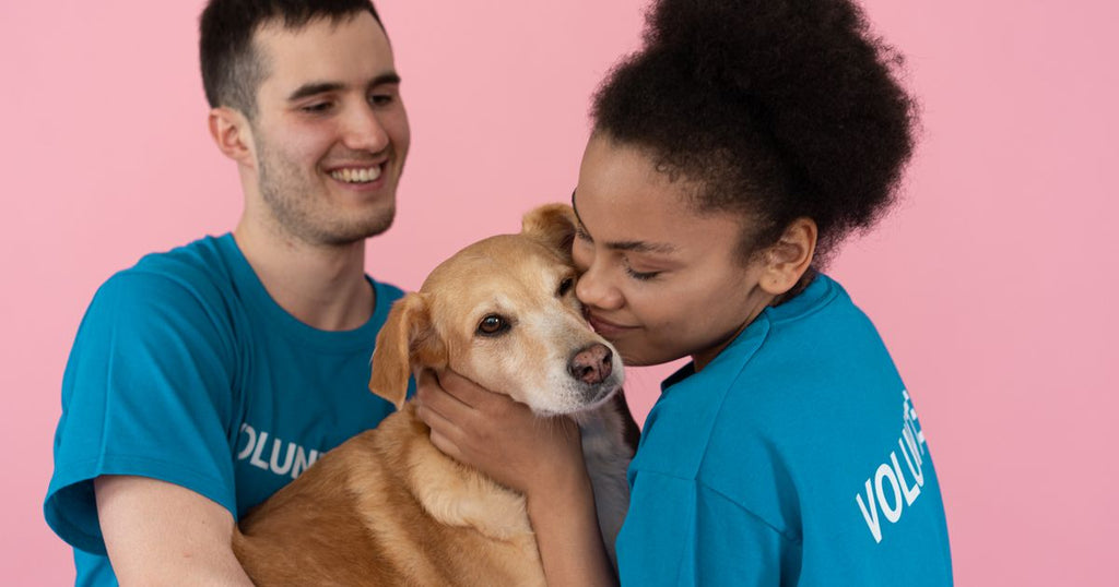 Witty Apparel for People Who Love Animals More Than Humans