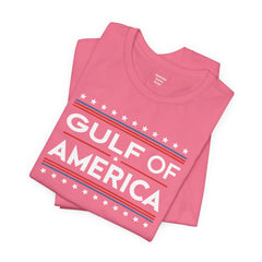 Gulf of USA Graphic Unisex Jersey Tee