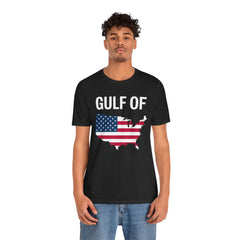Gulf of USA Graphic Unisex Jersey Tee