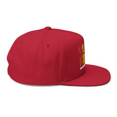 Rugby Players Embroidered Flat Bill Cap — Multicolor Team Sports Hat