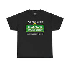 FUNNY T SHIRT  ALL YOUR LIFE IS CHANNEL 13 SESAME STREET WHAT DOES IT MEAN? MUSIC LYRICS. Unisex Heavy Cotton Tee
