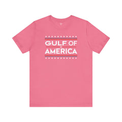 Gulf of USA Graphic Unisex Jersey Tee
