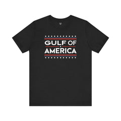 Gulf of USA Graphic Unisex Jersey Tee