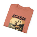 Arcadia National Park Graphic, Comfort Colors Soft Relaxed Fit Unisex Garment-Dyed T-shirt