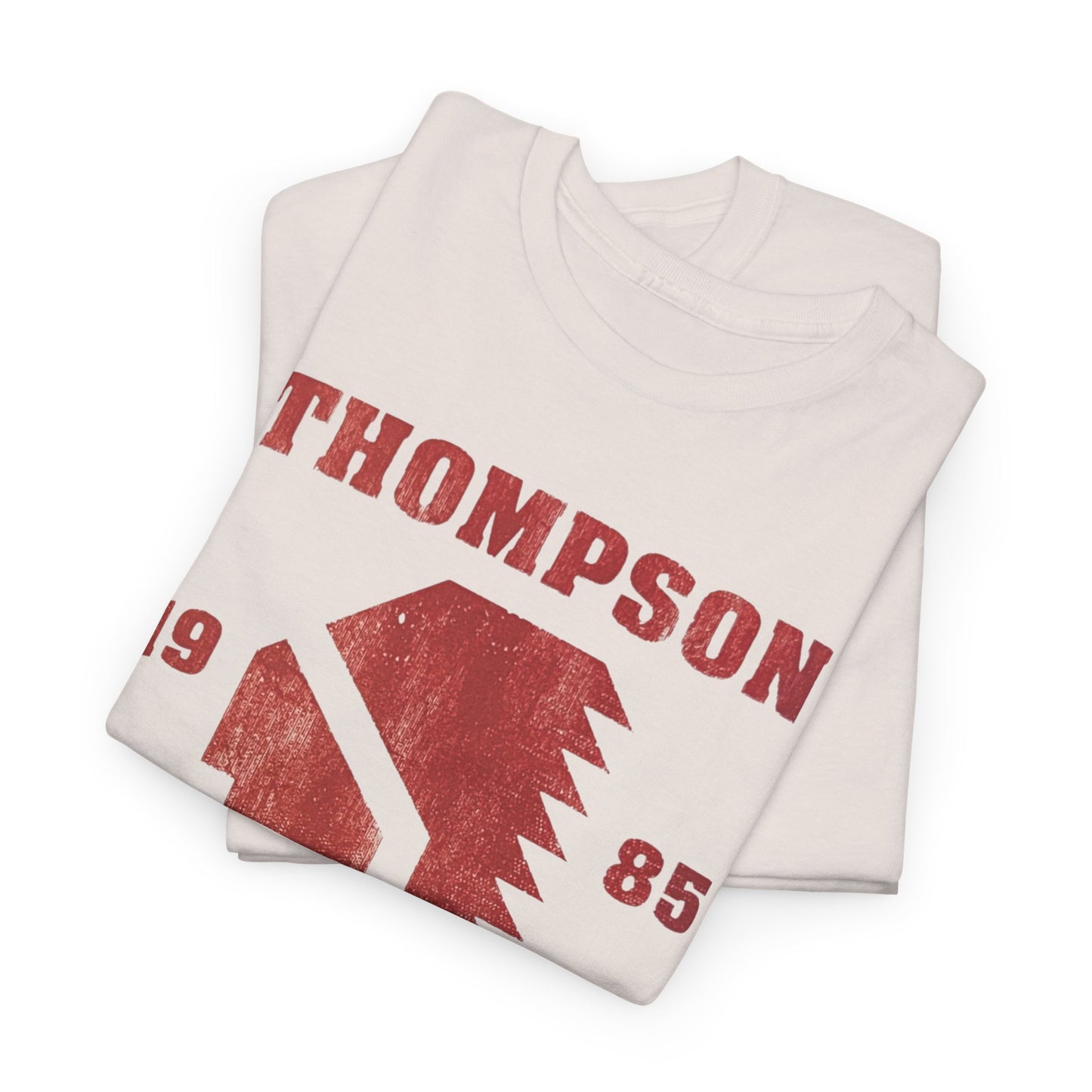 THOMPSON WRESTLING 1985, Unisex Heavy Cotton Tee