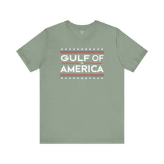 Gulf of USA Graphic Unisex Jersey Tee