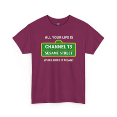 FUNNY T SHIRT  ALL YOUR LIFE IS CHANNEL 13 SESAME STREET WHAT DOES IT MEAN? MUSIC LYRICS. Unisex Heavy Cotton Tee