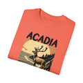 Arcadia National Park Graphic, Comfort Colors Soft Relaxed Fit Unisex Garment-Dyed T-shirt