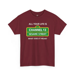 FUNNY T SHIRT  ALL YOUR LIFE IS CHANNEL 13 SESAME STREET WHAT DOES IT MEAN? MUSIC LYRICS. Unisex Heavy Cotton Tee