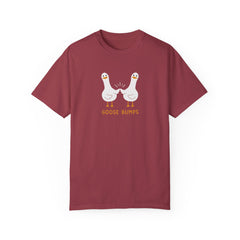 Goose Bump t-shirt, Comfort Colors shirt, Gift For Her, Funny shirt, Retro Graphic Tee, Relaxed Fit Shirt, Bird Lovers Shirt, Nature Shirt
