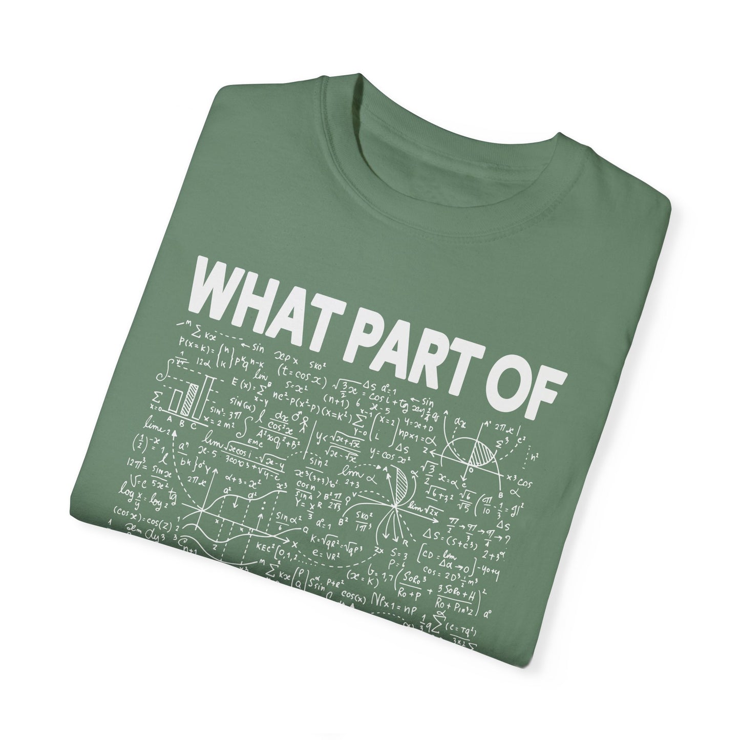 What Part of Calculus Don't You Understand, Comfort Colors Unisex Garment-Dyed T-shirt