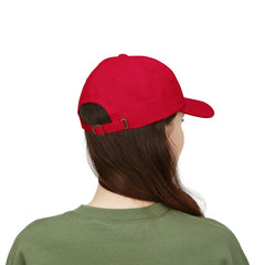 Baldwin Harbor Animal Hospital Embroidered Pet Care Hat