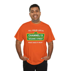 FUNNY T SHIRT  ALL YOUR LIFE IS CHANNEL 13 SESAME STREET WHAT DOES IT MEAN? MUSIC LYRICS. Unisex Heavy Cotton Tee