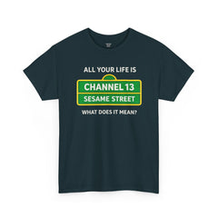 FUNNY T SHIRT  ALL YOUR LIFE IS CHANNEL 13 SESAME STREET WHAT DOES IT MEAN? MUSIC LYRICS. Unisex Heavy Cotton Tee