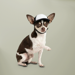 Dog Cap Trucker Hat — Baldwin Harbor Animal Hospital Logo Cap