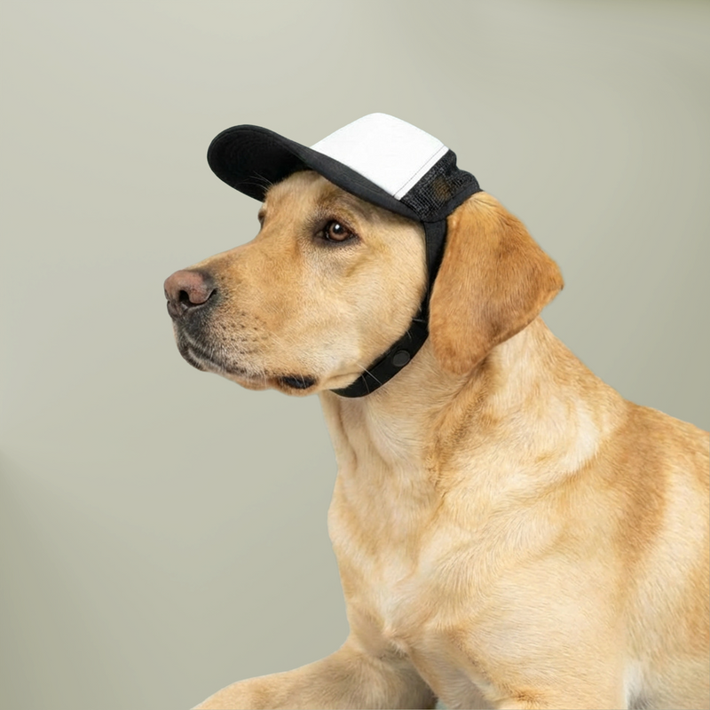 Dog Cap Trucker Hat — Baldwin Harbor Animal Hospital Logo Cap