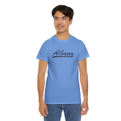 Albany Unisex Heavy Cotton Tee - Retro Dunder Mifflin Design for Nostalgic Fans