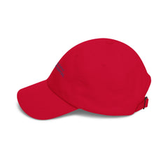 Baldwin Harbor Animal Hospital Embroidered Pet Care Hat