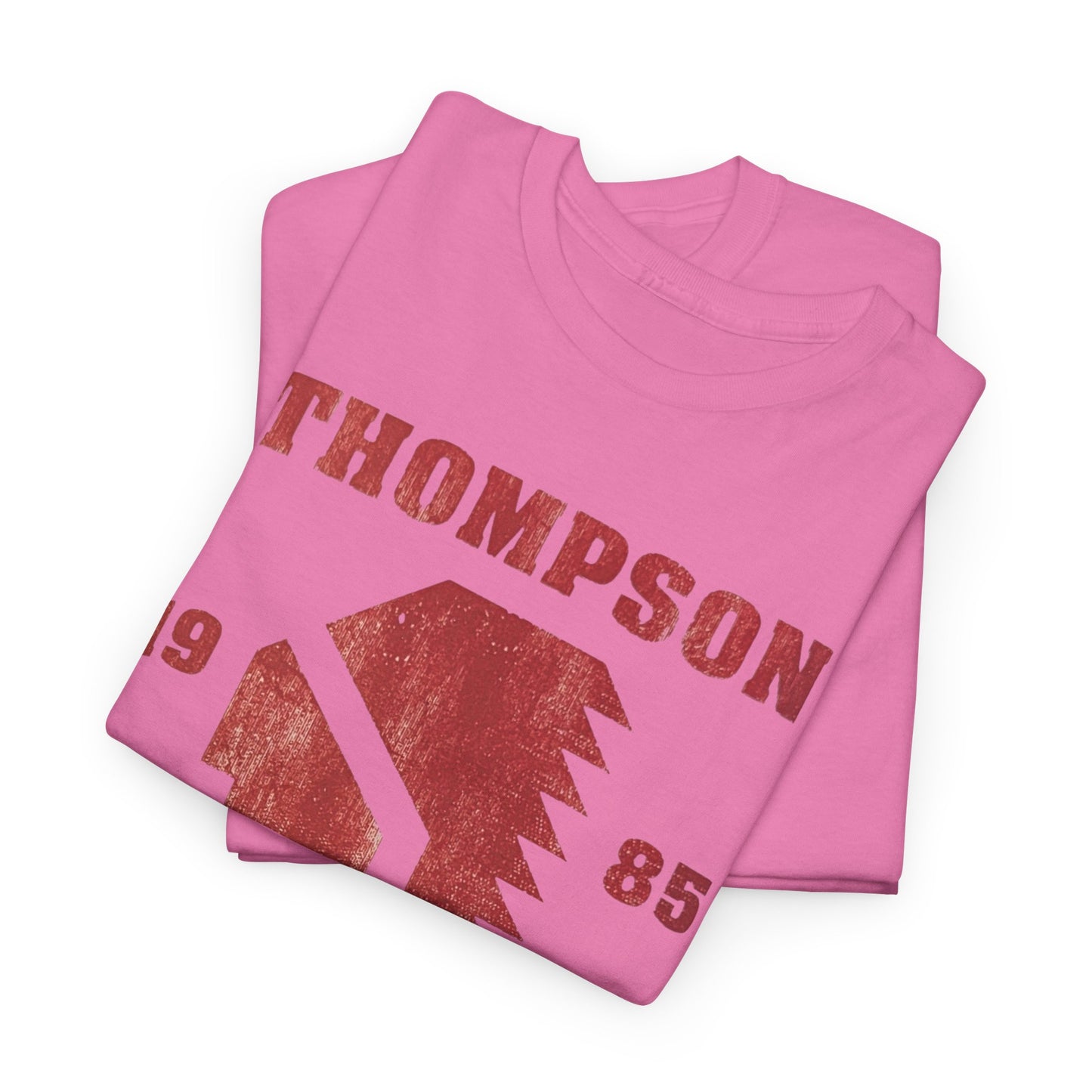 THOMPSON WRESTLING 1985, Unisex Heavy Cotton Tee