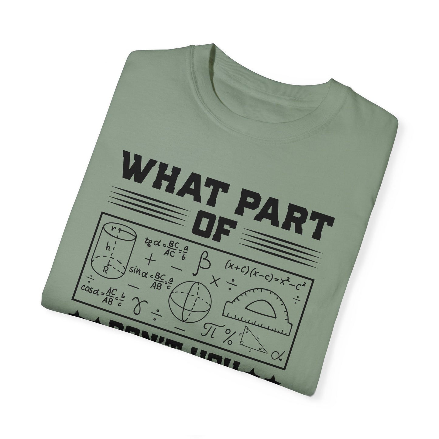 What Part of MATH AND SCIENCE Don't You Understand, Comfort Colors Unisex Garment-Dyed T-shirt