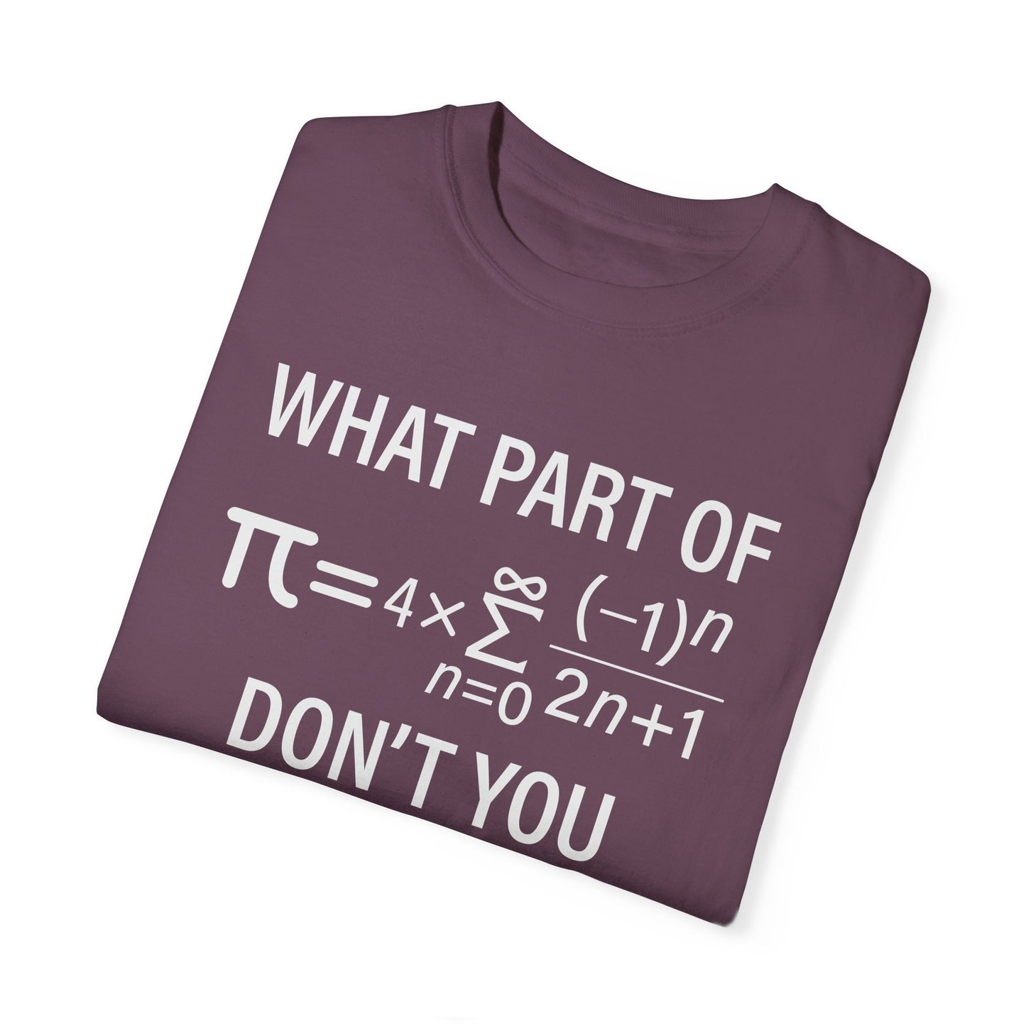 What Part of The Pi Equation Don't You Understand, Comfort Colors Unisex Garment-Dyed T-shirt