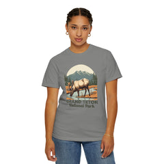 Grand Teton National Park Graphic, Comfort Colors Soft Relaxed Fit Unisex Garment-Dyed T-shirt