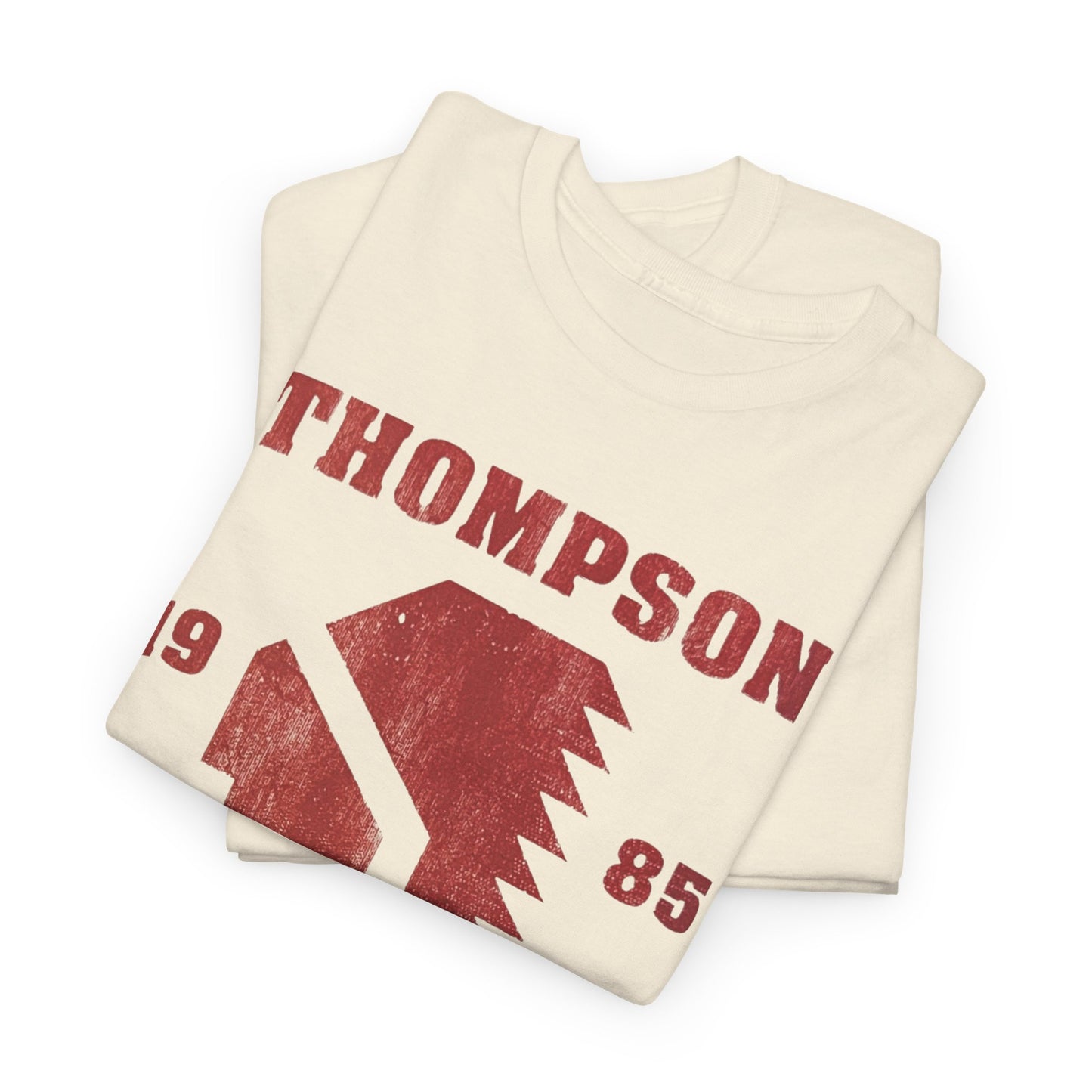 THOMPSON WRESTLING 1985, Unisex Heavy Cotton Tee