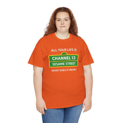 FUNNY T SHIRT  ALL YOUR LIFE IS CHANNEL 13 SESAME STREET WHAT DOES IT MEAN? MUSIC LYRICS. Unisex Heavy Cotton Tee