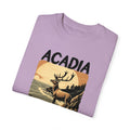 Arcadia National Park Graphic, Comfort Colors Soft Relaxed Fit Unisex Garment-Dyed T-shirt