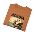 Arcadia National Park Graphic, Comfort Colors Soft Relaxed Fit Unisex Garment-Dyed T-shirt