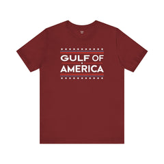 Gulf of USA Graphic Unisex Jersey Tee
