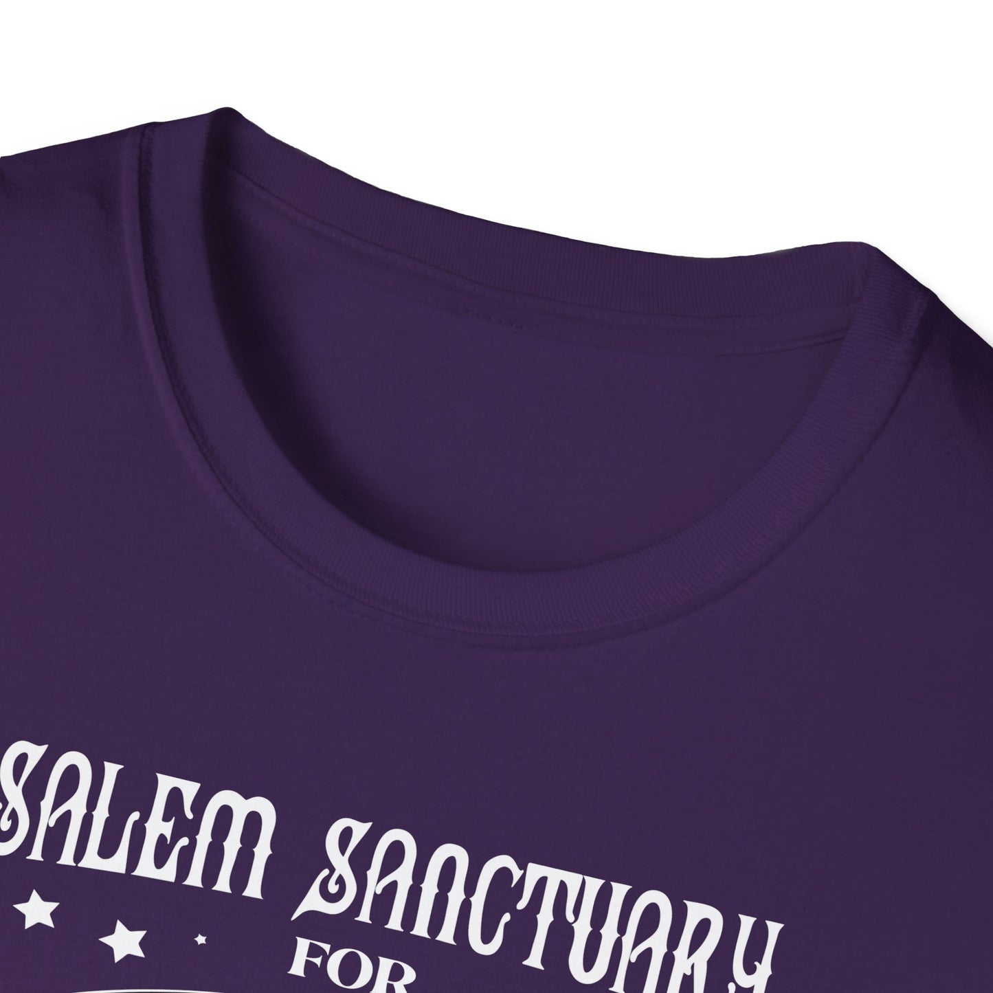 Salem Sanctuary For Wayward Cats, Unisex Softstyle T-Shirt