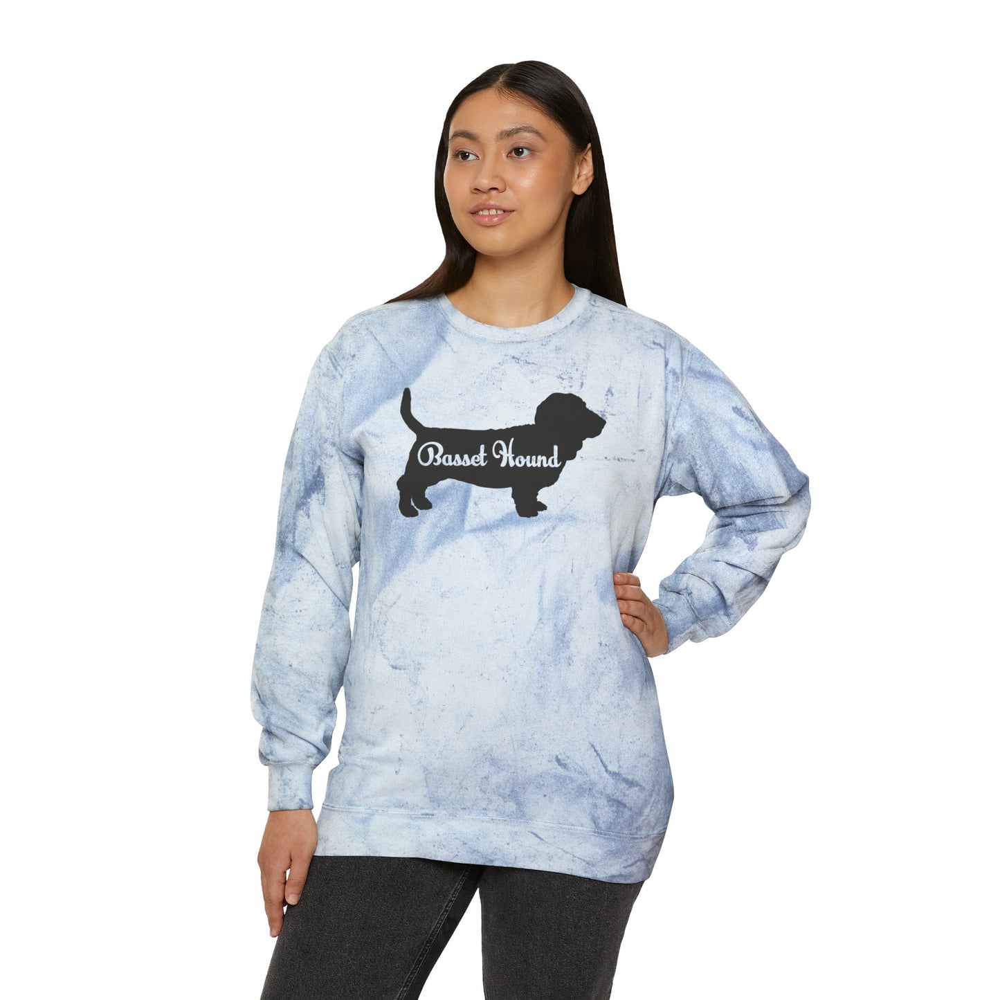 Basset Hound Unisex Comfort Colors Sweatshirt