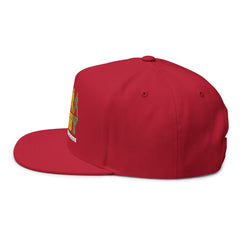Rugby Players Embroidered Flat Bill Cap — Multicolor Team Sports Hat